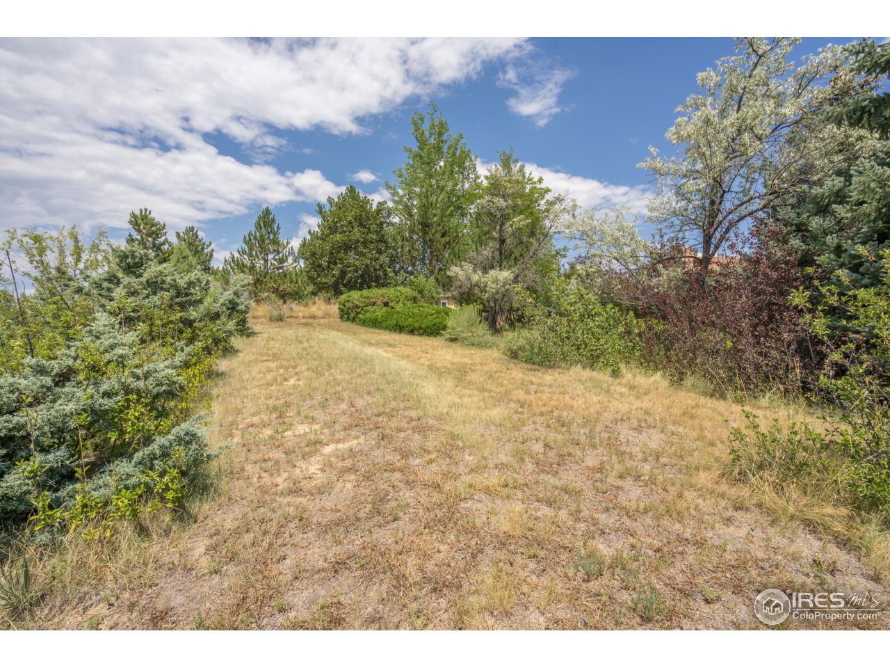 1020 Country Club Road Fort Collins, CO 80524 - Photo 23 of 26 Gallery Image 23