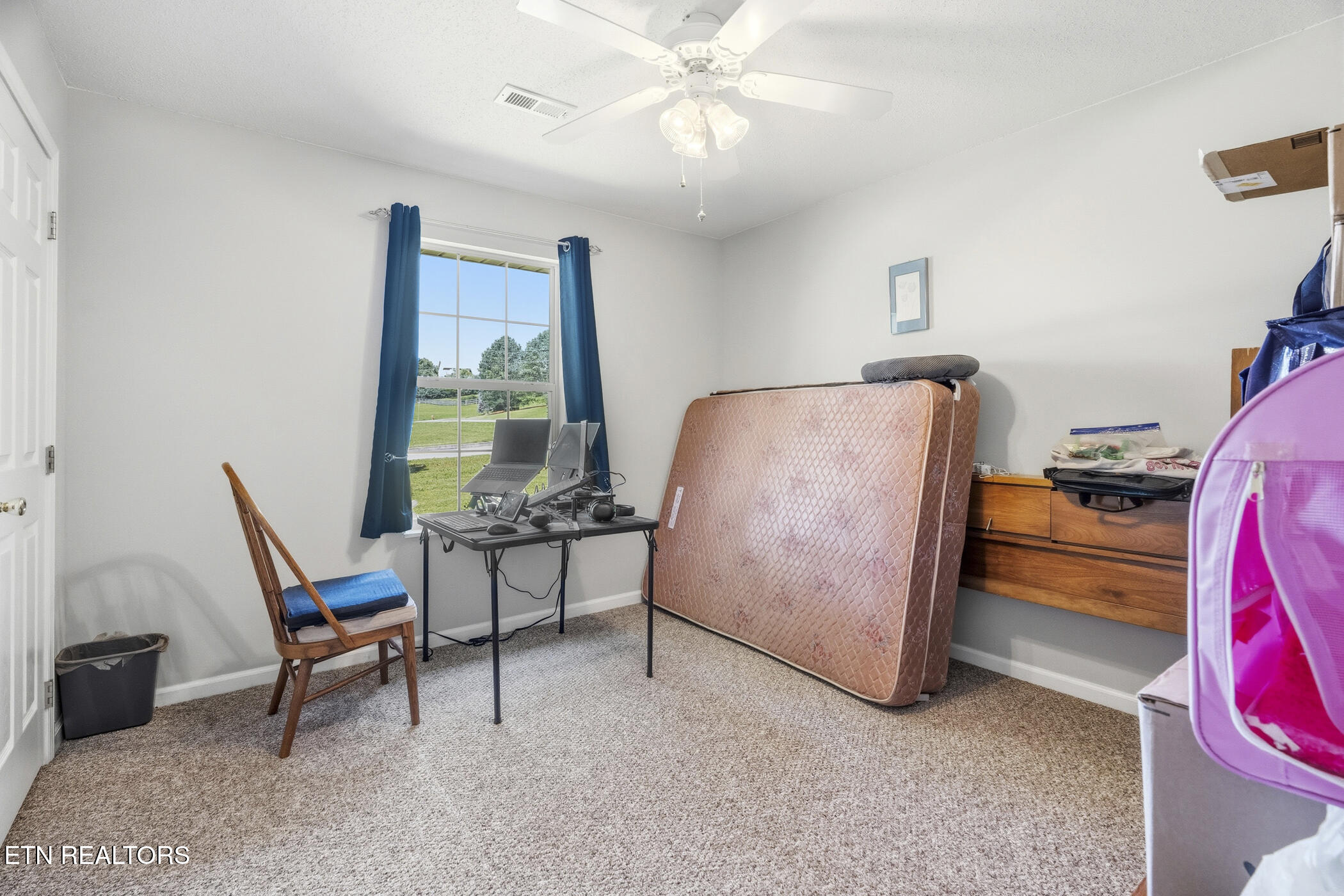 1324 Prairie Place Greenback, TN 37742 - Photo 30 of 39 dsc05235