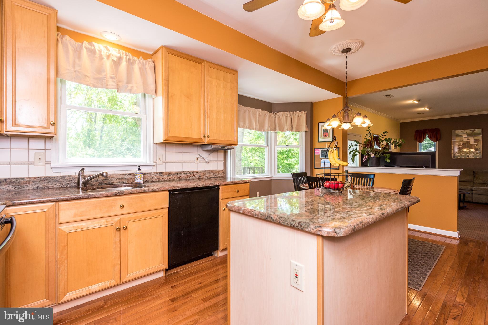110 Broad Acres Road Lansdale, PA 19446 - Photo 8 of 41 Granite Countertops