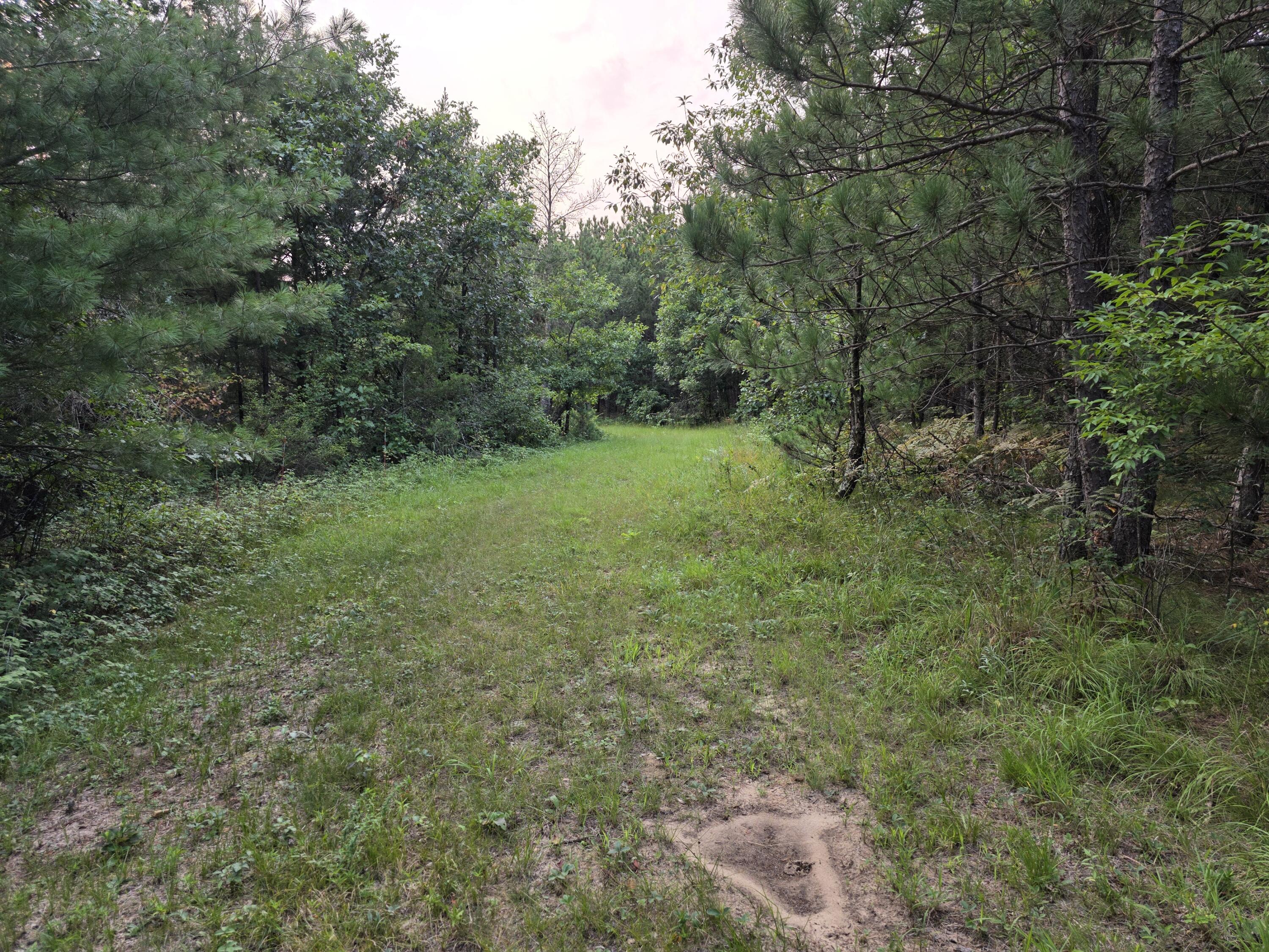 0 Cambridge Road Sparta, WI 54656 - Photo 51 of 63 20260810_185631