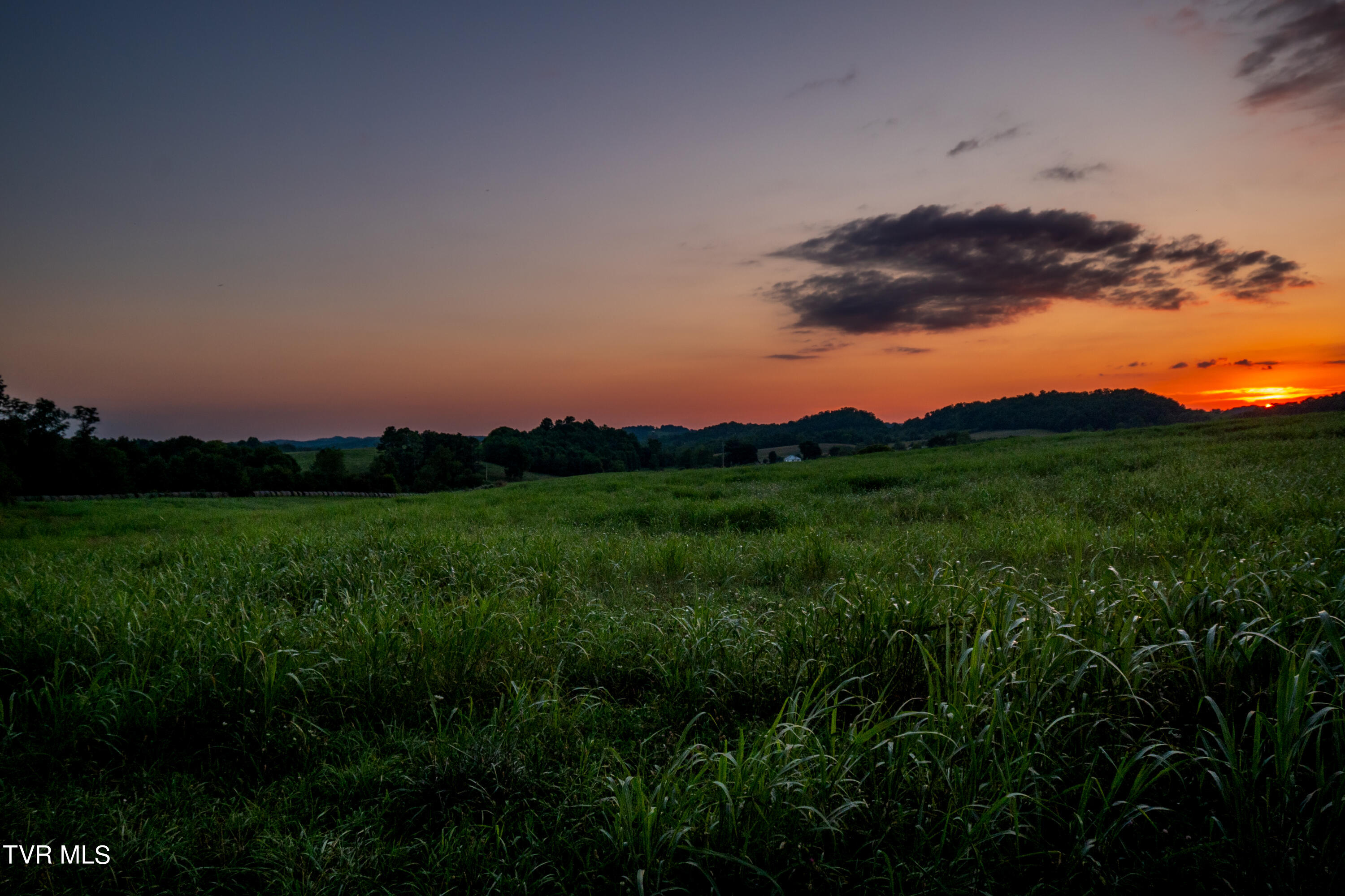 2200 Old Hall Road, Unit B Limestone, TN 37681 - Photo 12 of 44 CF2_5484