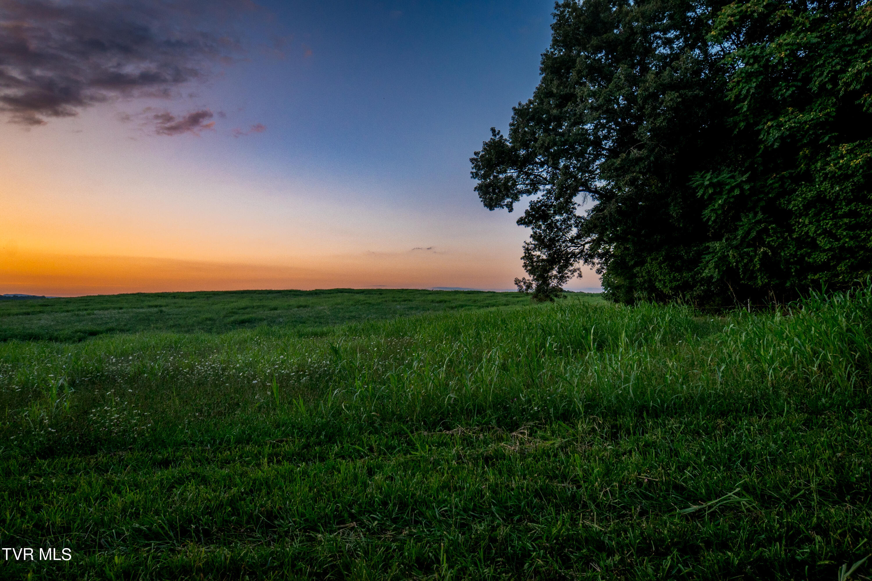 2200 Old Hall Road, Unit B Limestone, TN 37681 - Photo 17 of 44 CF2_5462