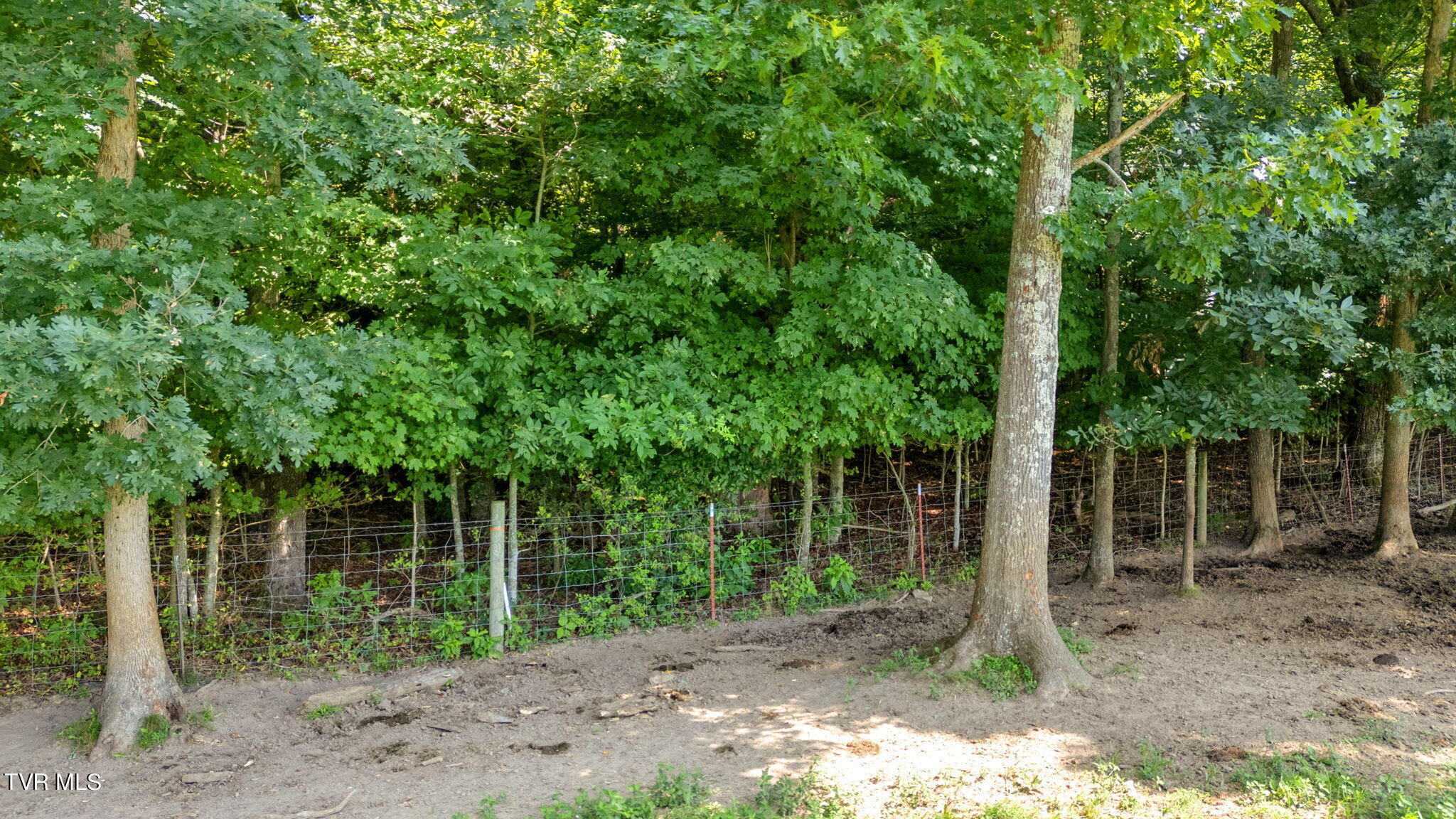 2200 Old Hall Road, Unit B Limestone, TN 37681 - Photo 24 of 44 17-web-or-mls-DJI_20240807115017_0948_D