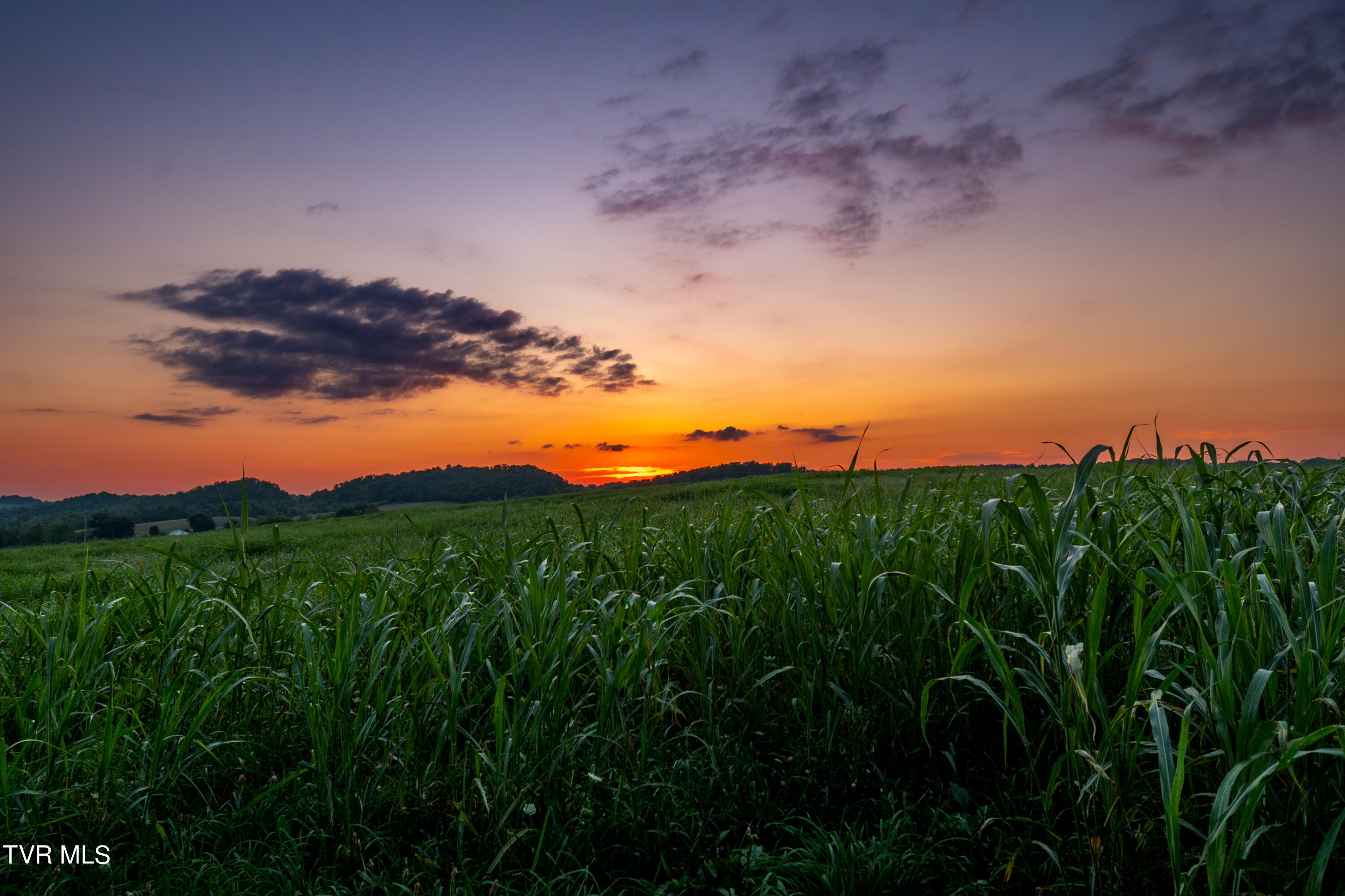 2200 Old Hall Road, Unit B Limestone, TN 37681 - Photo 29 of 44 CF2_5497