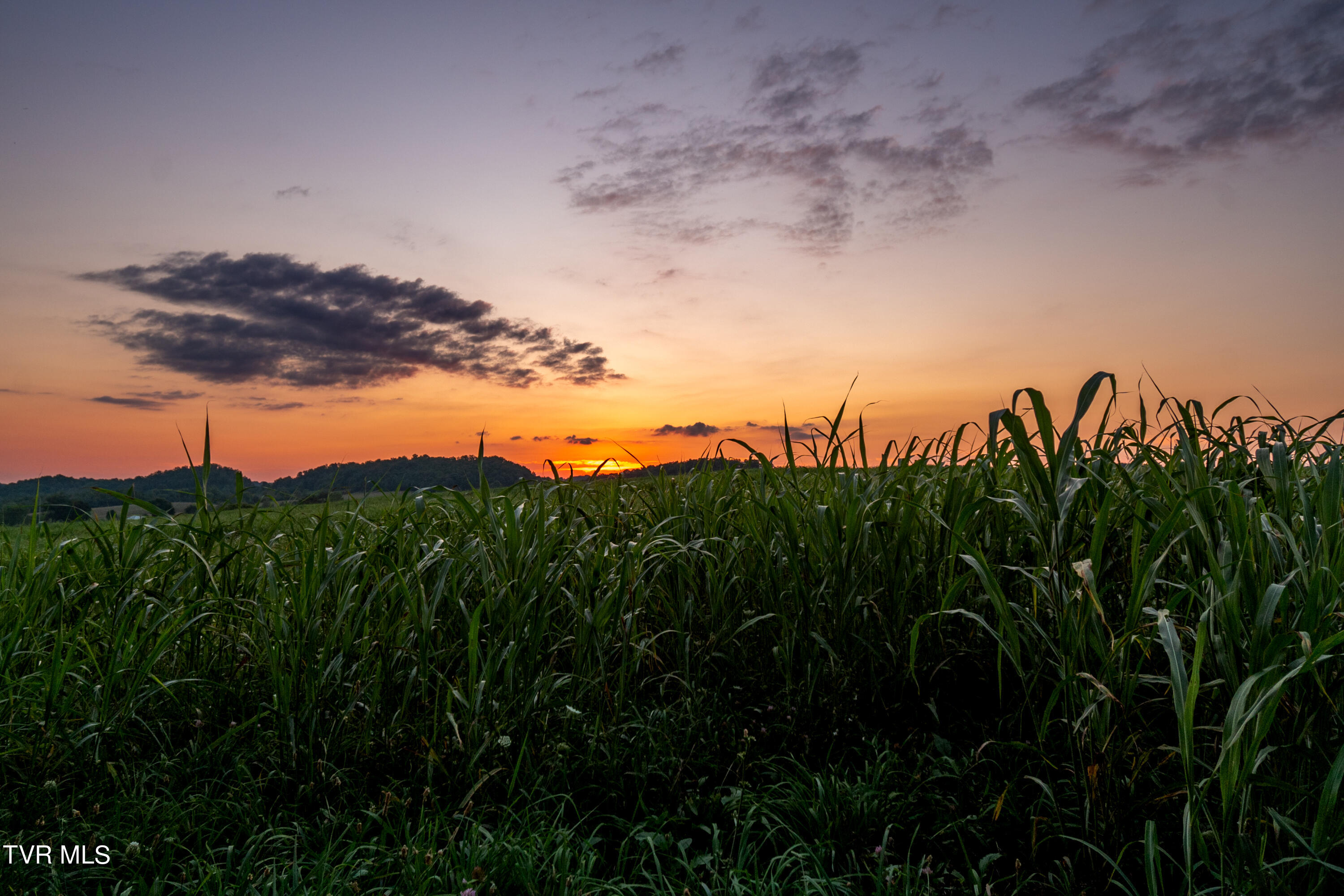 2200 Old Hall Road, Unit B Limestone, TN 37681 - Photo 31 of 44 CF2_5494