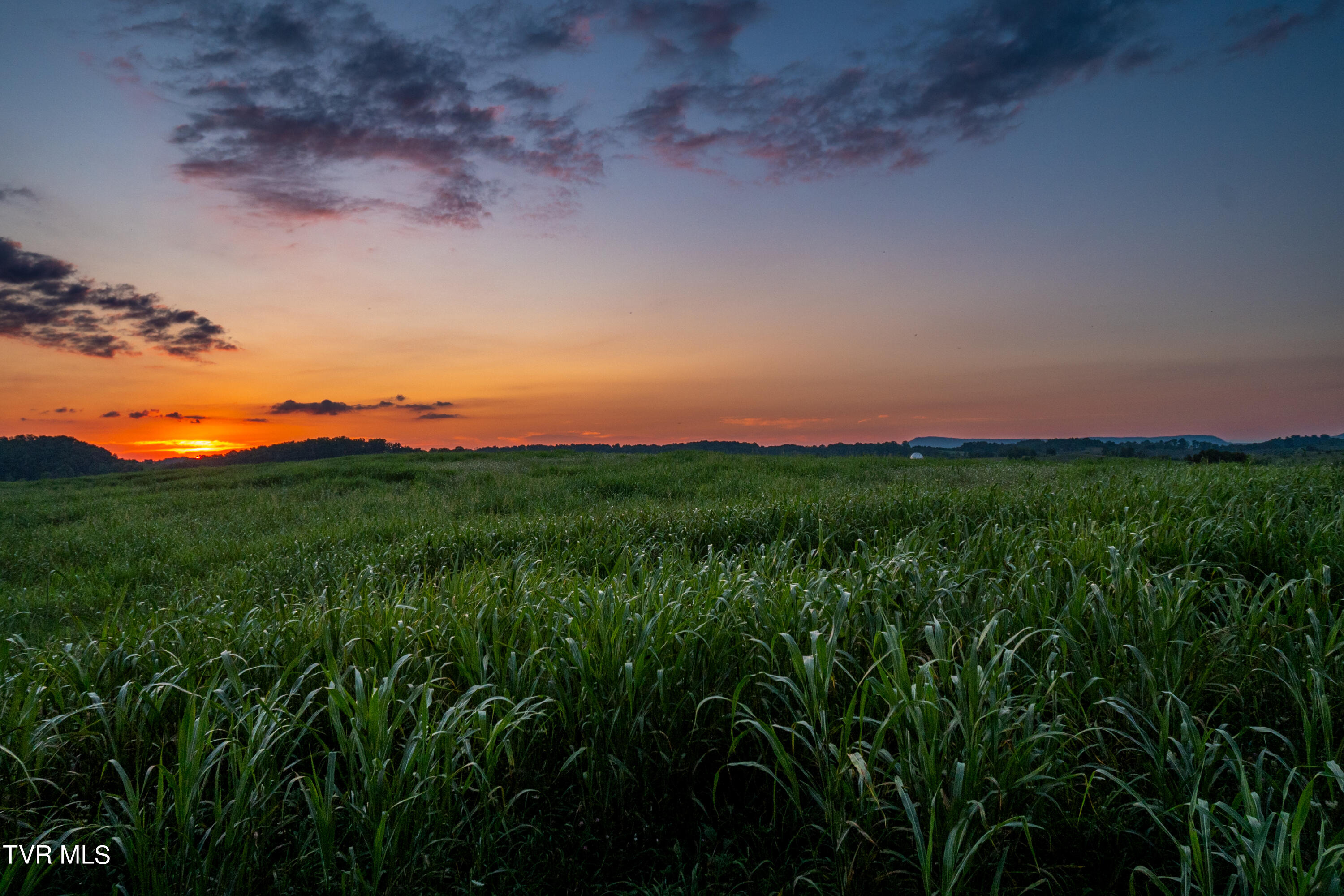 2200 Old Hall Road, Unit B Limestone, TN 37681 - Photo 39 of 44 CF2_5486-2