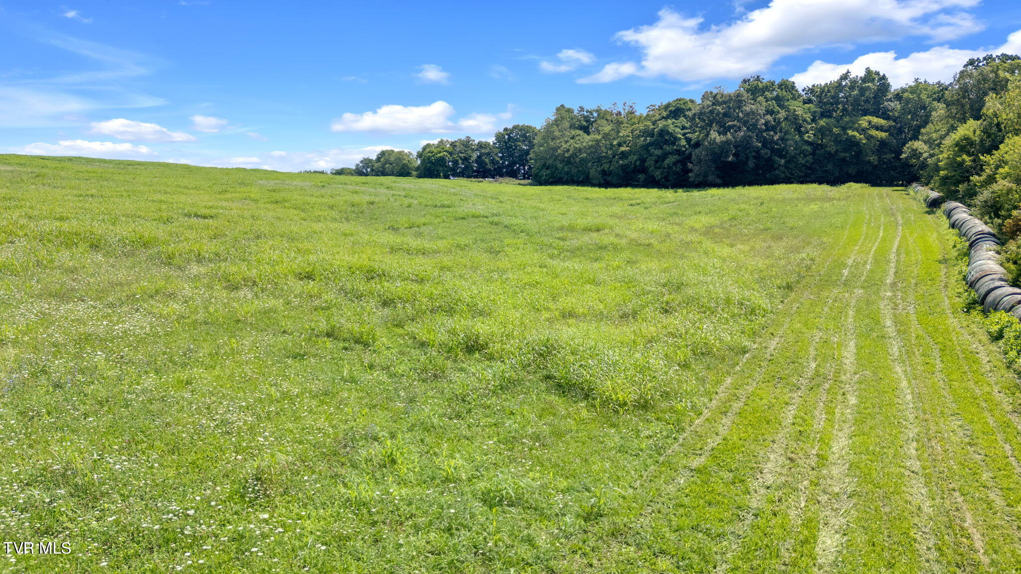 2200 Old Hall Road, Unit B Limestone, TN 37681 - Photo 7 of 44 18-web-or-mls-DJI_20240807115057_0953_D