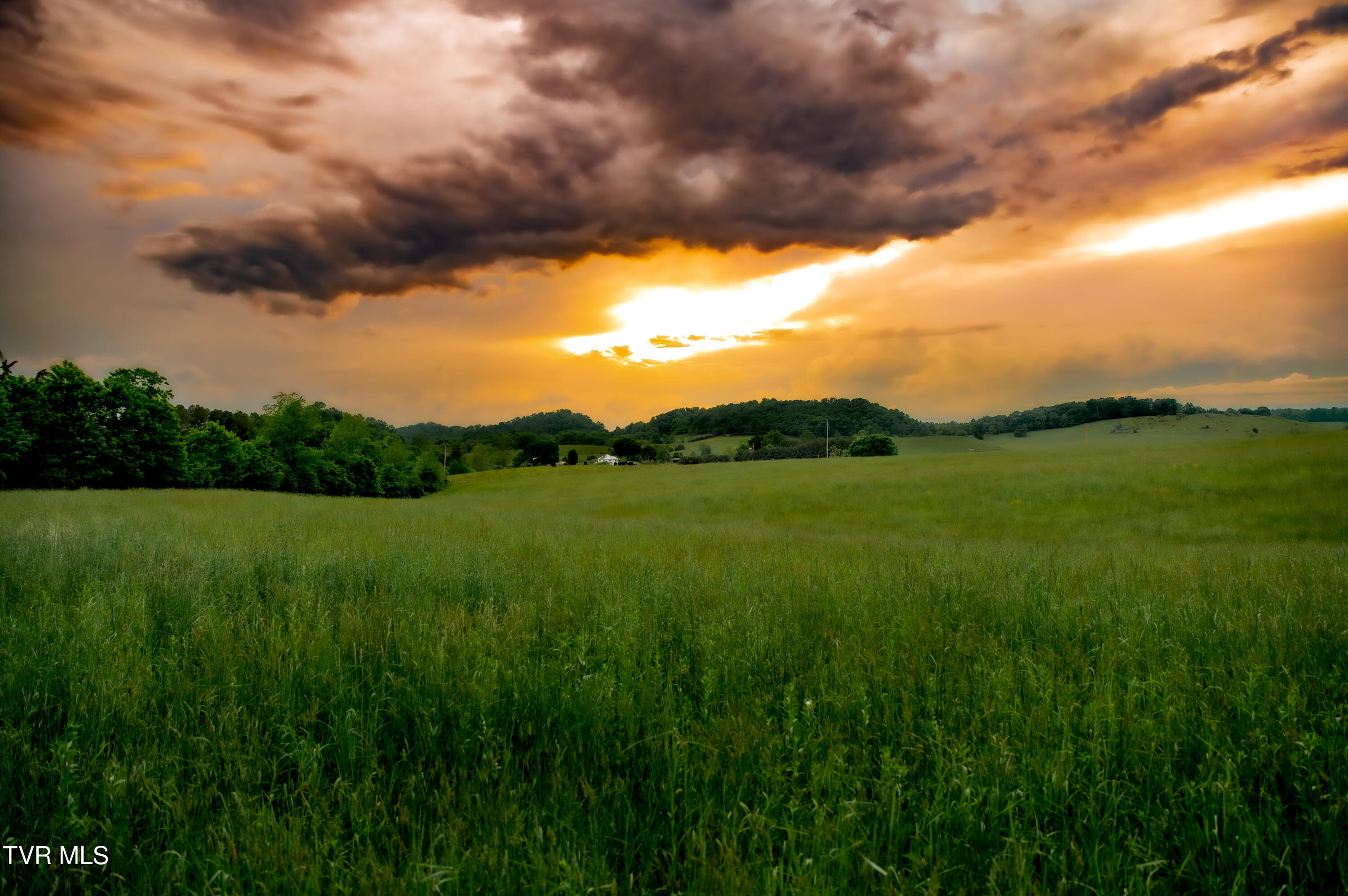 2200 Old Hall Road, Unit B Limestone, TN 37681 - Photo 8 of 44 CF2_6844