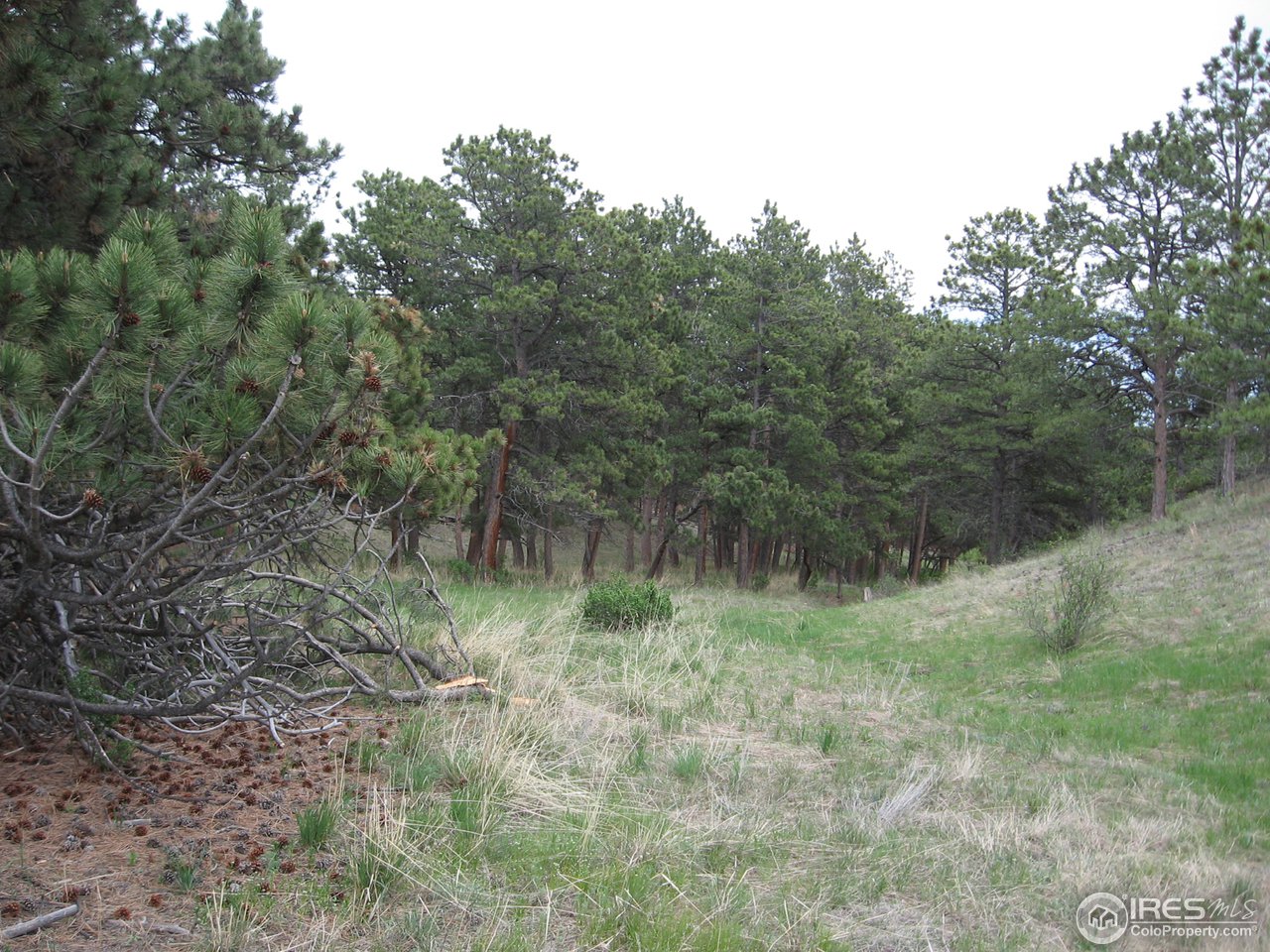 8901 Old Ranch Road Livermore, CO 80536 - Photo 3 of 12 Gallery Image 3