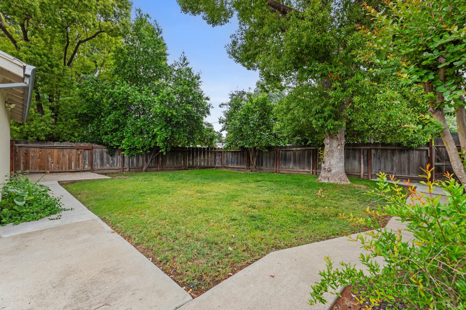 550 Bell Street Turlock, CA 95380 - Photo 25 of 36 a view of a backyard with large trees and wooden fence