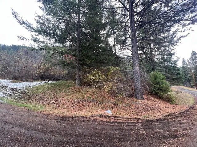 $35,000 | Tbd Bouffard Flat Road, Unit NONE, White Bird, ID 83554