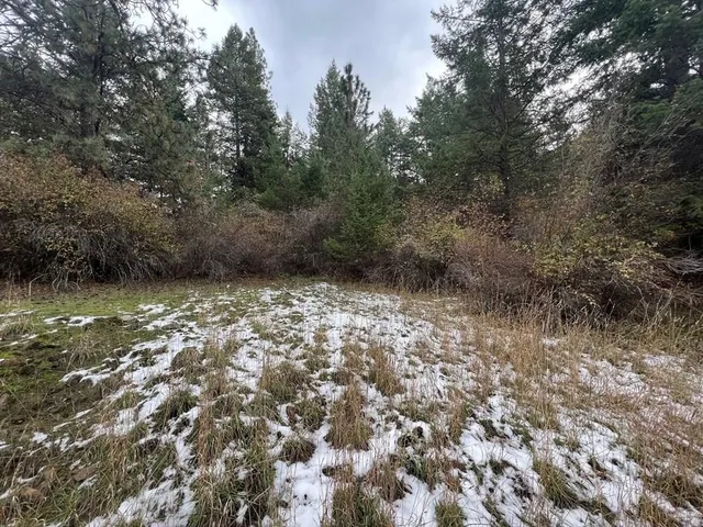 $35,000 | Tbd Dairy Mountain Road, Unit NONE, White Bird, ID 83554