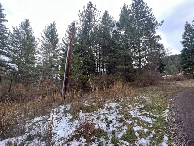 $35,000 | Tbd Dairy Mountain Road, Unit NONE, White Bird, ID 83554