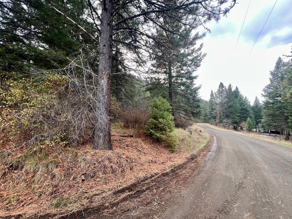 Tbd Dairy Mountain Road, Unit NONE White Bird, ID 83554 - Photo 5 of 5