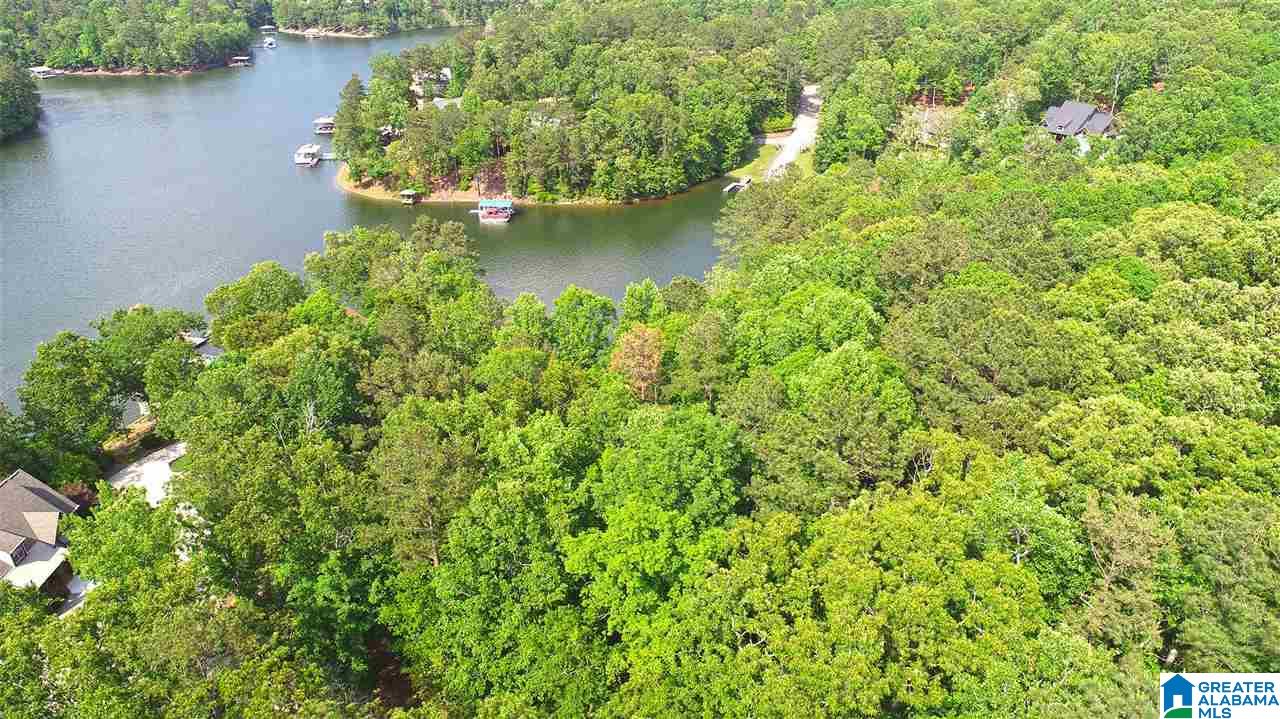 Indigo Drive, Unit 22 Wedowee, AL 36278 - Photo 3 of 5