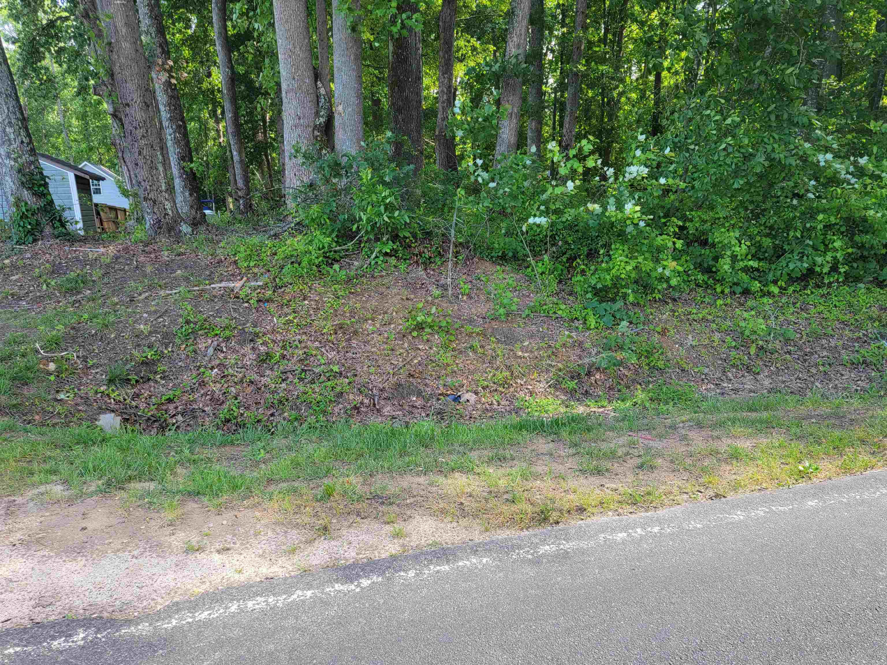 6400 Robertson Pond Road Wendell, NC 27591 - Photo 19 of 33 Photo 19
