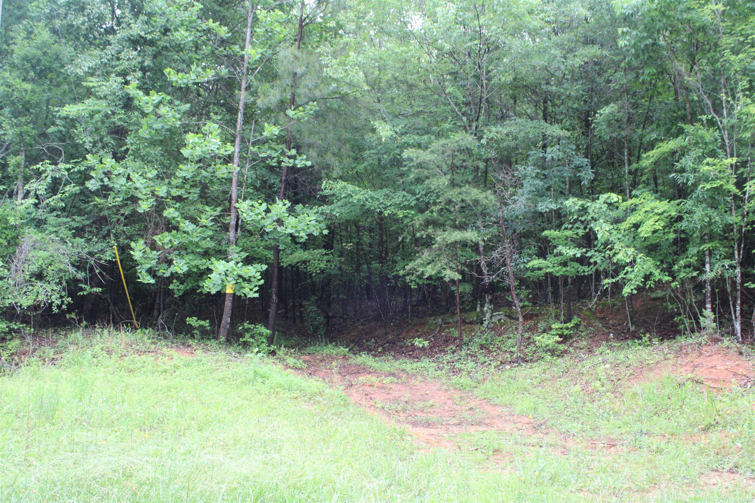 393 Goldmine Road Spartanburg, SC 29307 - Photo 5 of 5
