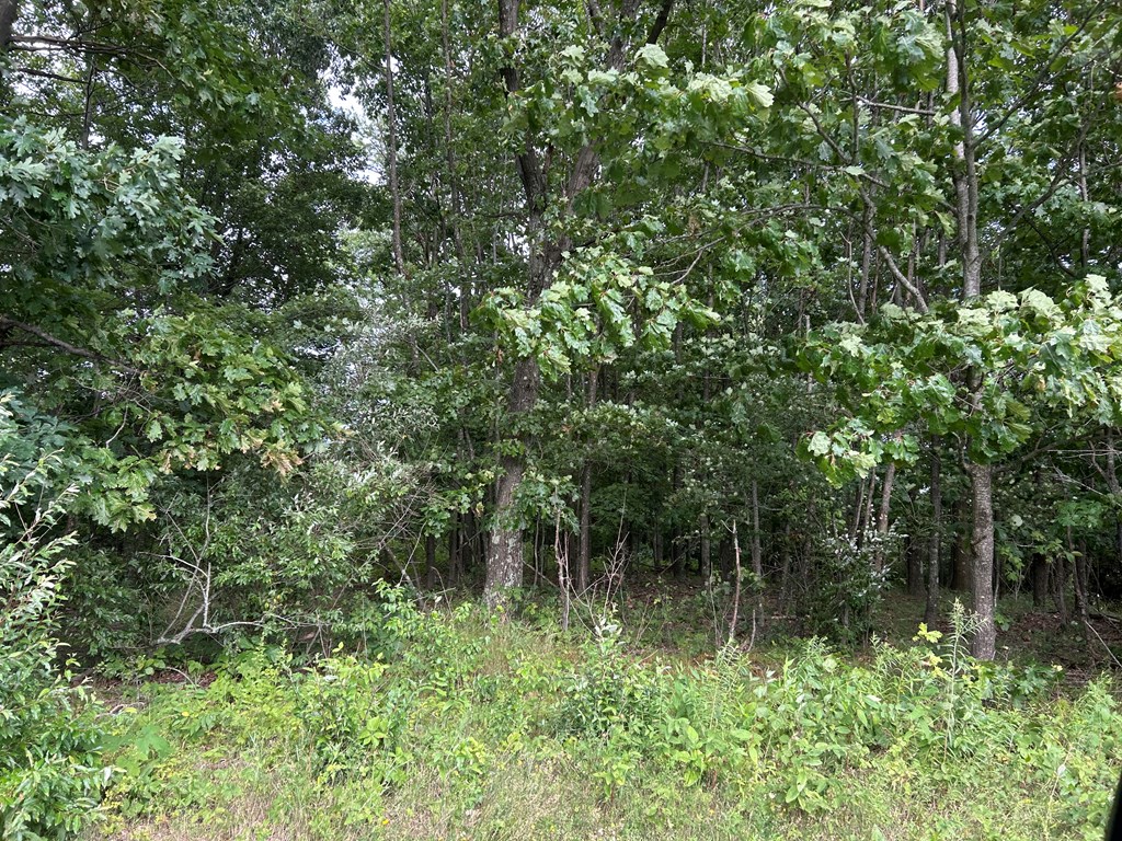 .. Holly Hill Road Rimersburg, PA 16248 - Photo 4 of 6 Gallery Image 4