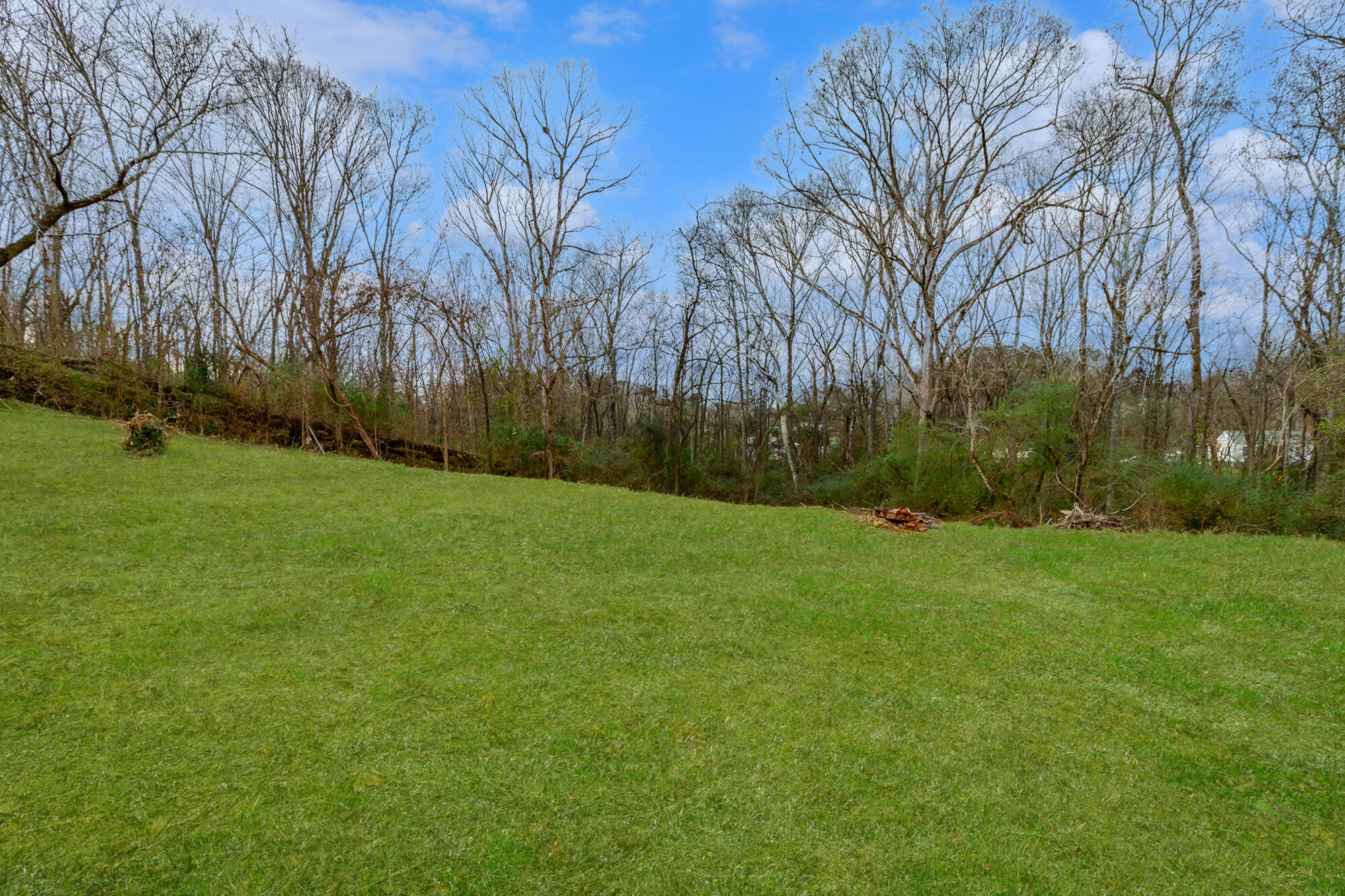 323 North Jenkins Road Rossville, GA 30741 - Photo 3 of 11 323 North Jenkins Road Lot HD-4