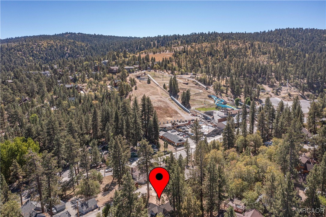 674 Spruce Road Big Bear Lake, CA 92315 - Photo 4 of 38