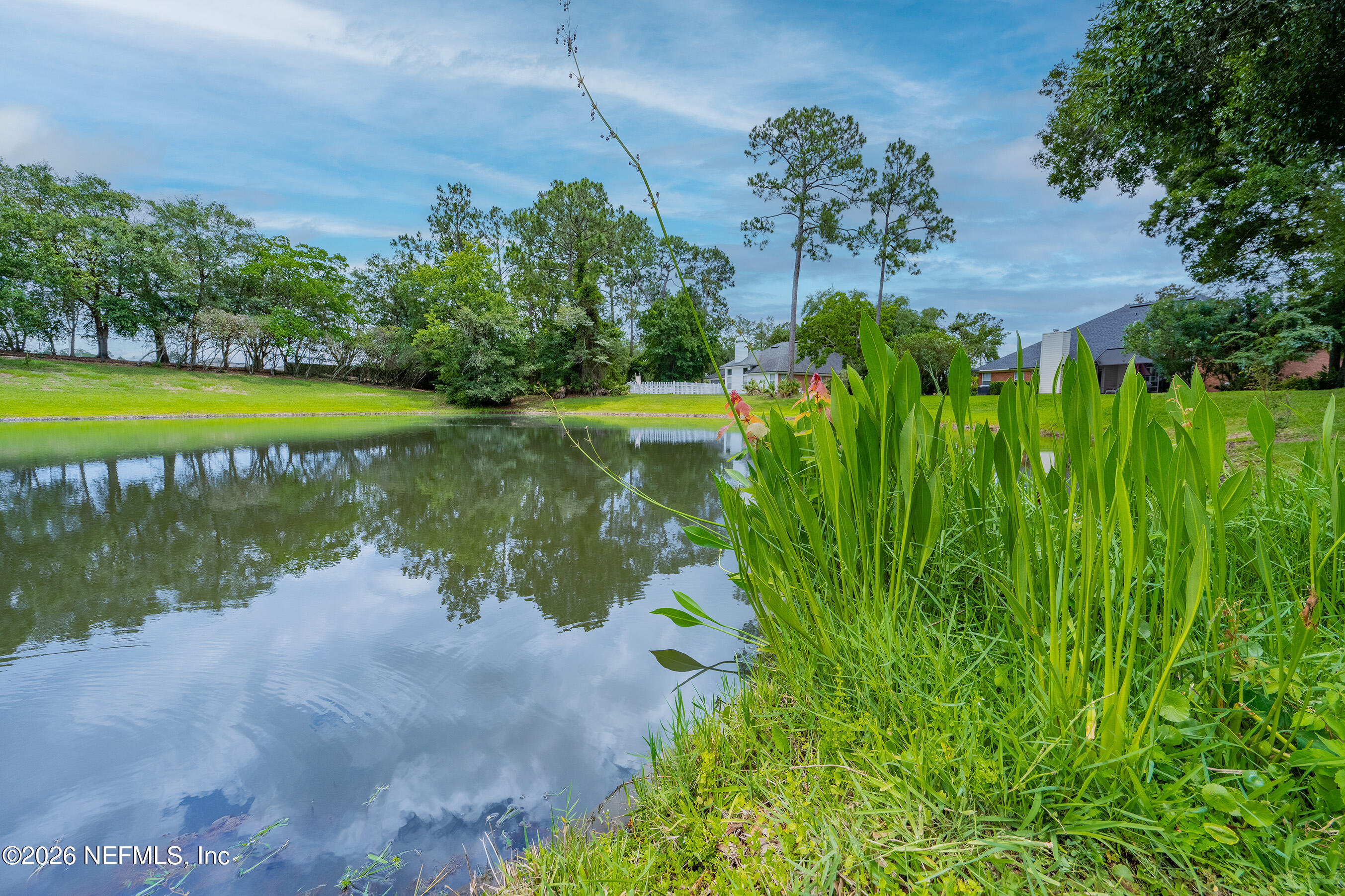 1573 Chain Fern Way Fleming Island, FL 32003 - Photo 44 of 57 43Backyard5