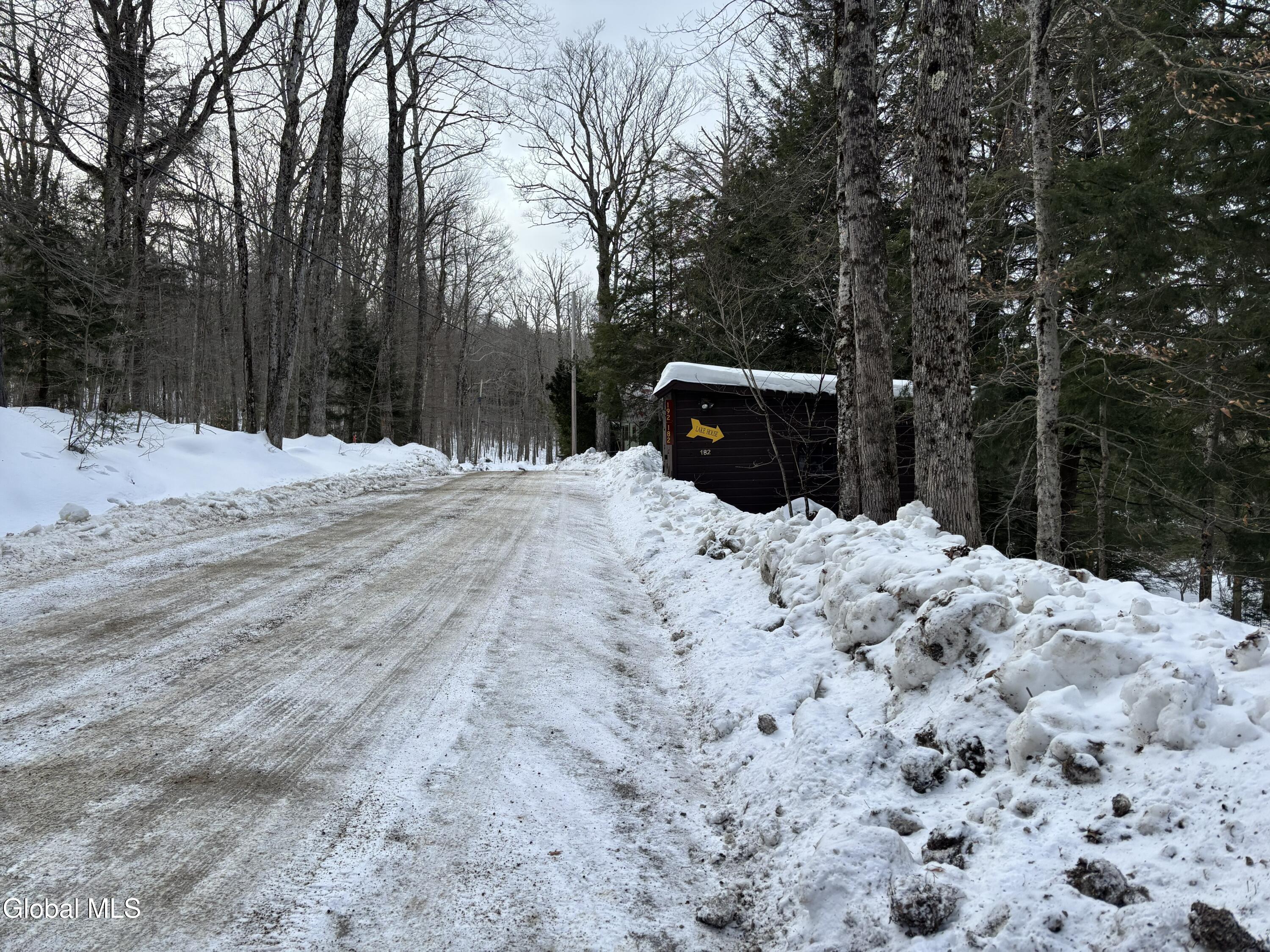 25 Sands Point Road Caroga Lake, NY 12032 - Photo 3 of 6 Land3
