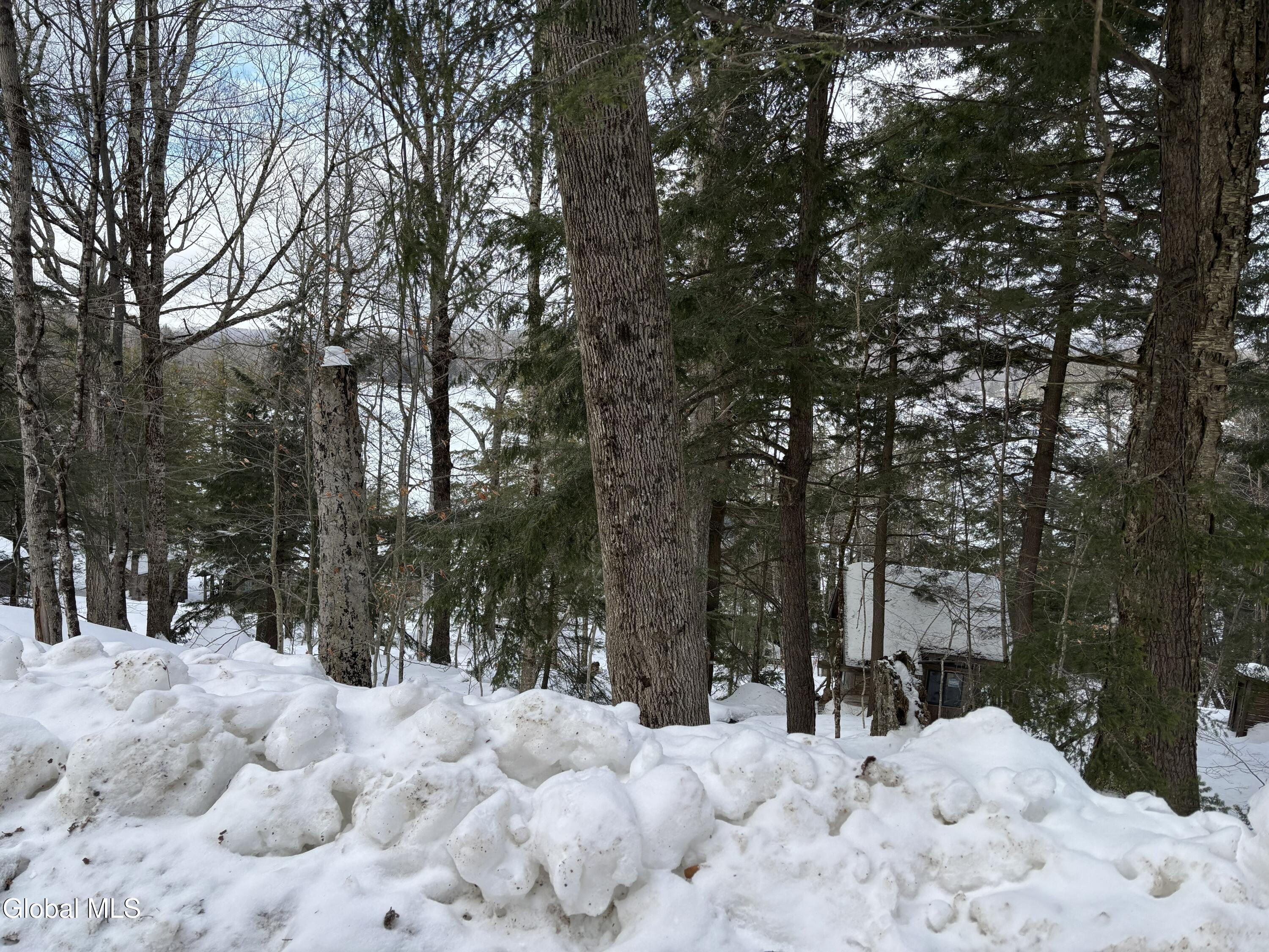 25 Sands Point Road Caroga Lake, NY 12032 - Photo 4 of 6 Land4