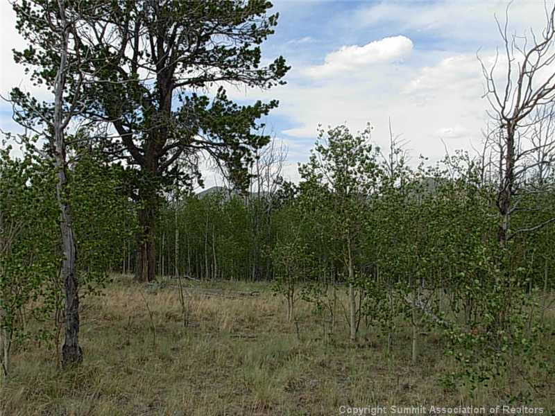 42 Smith And Wesson Road Como, CO 80432 - Photo 2 of 12 Land/Lot.