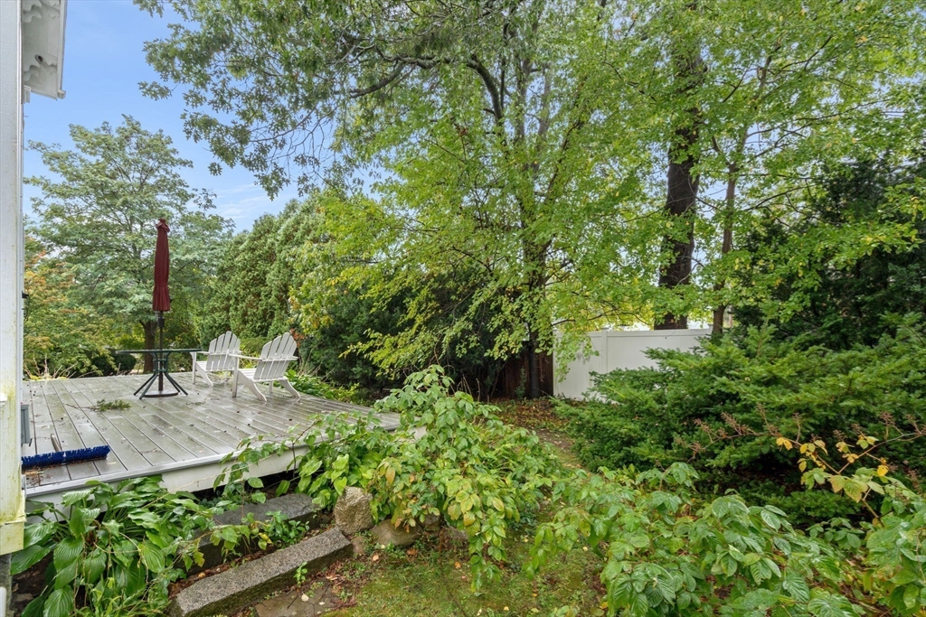 600 East Street Dedham, MA 02026 - Photo 7 of 39 a view of a garden with a tree