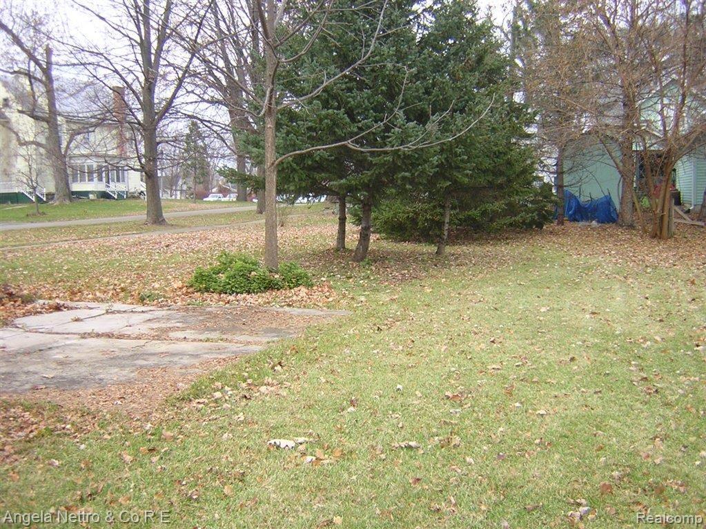 0 Hand Street Carleton, MI 48117 - Photo 6 of 10 Gallery Image 6