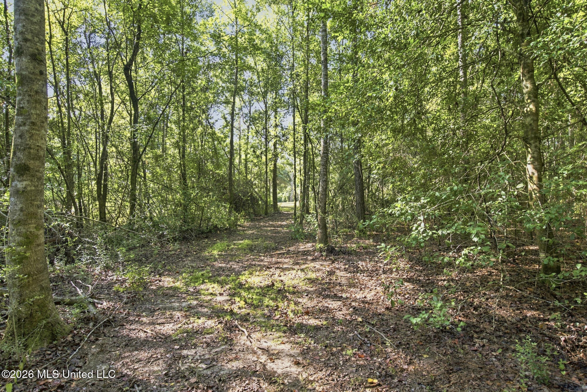 132 Cody Goldman Road Lucedale, MS 39452 - Photo 18 of 48 IMG_1570