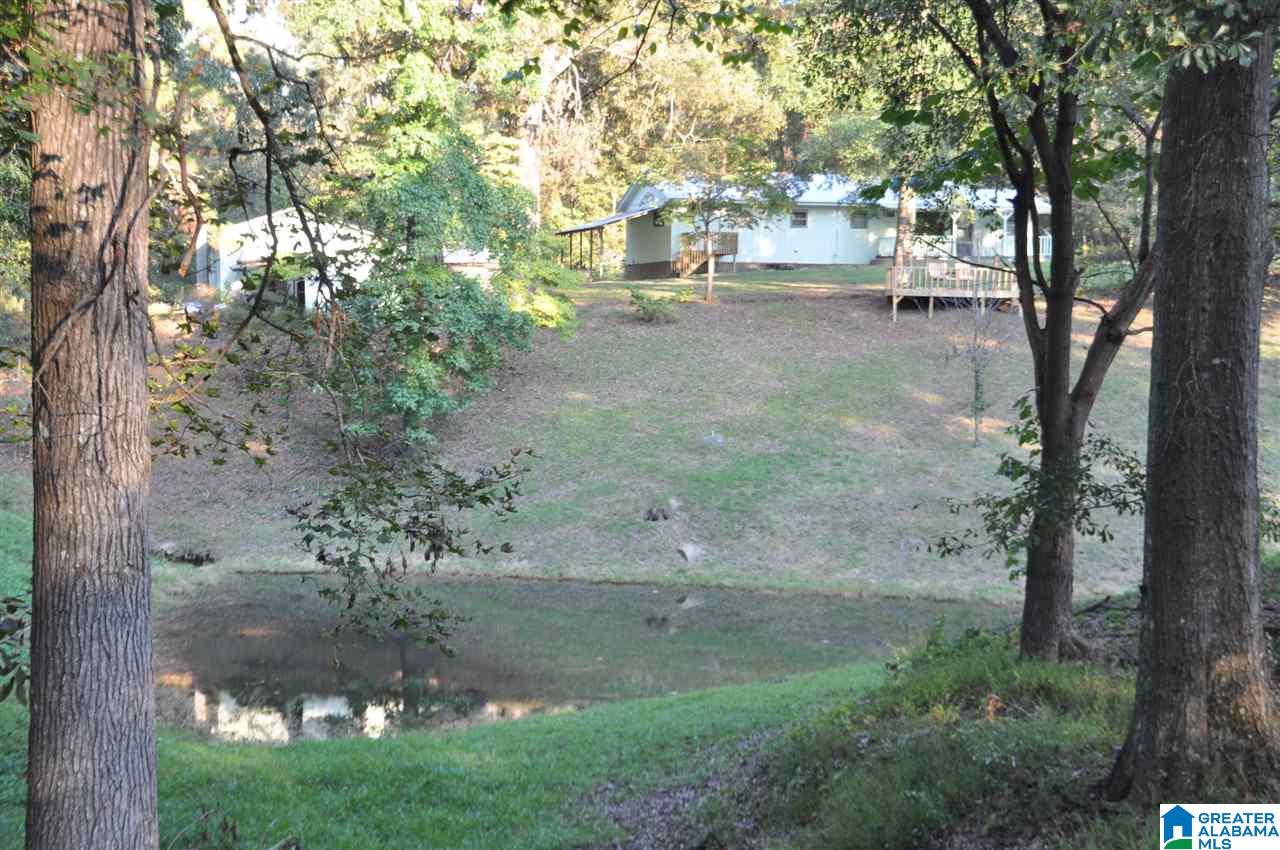 9385 Page Road Trafford, AL 35172 - Photo 20 of 20