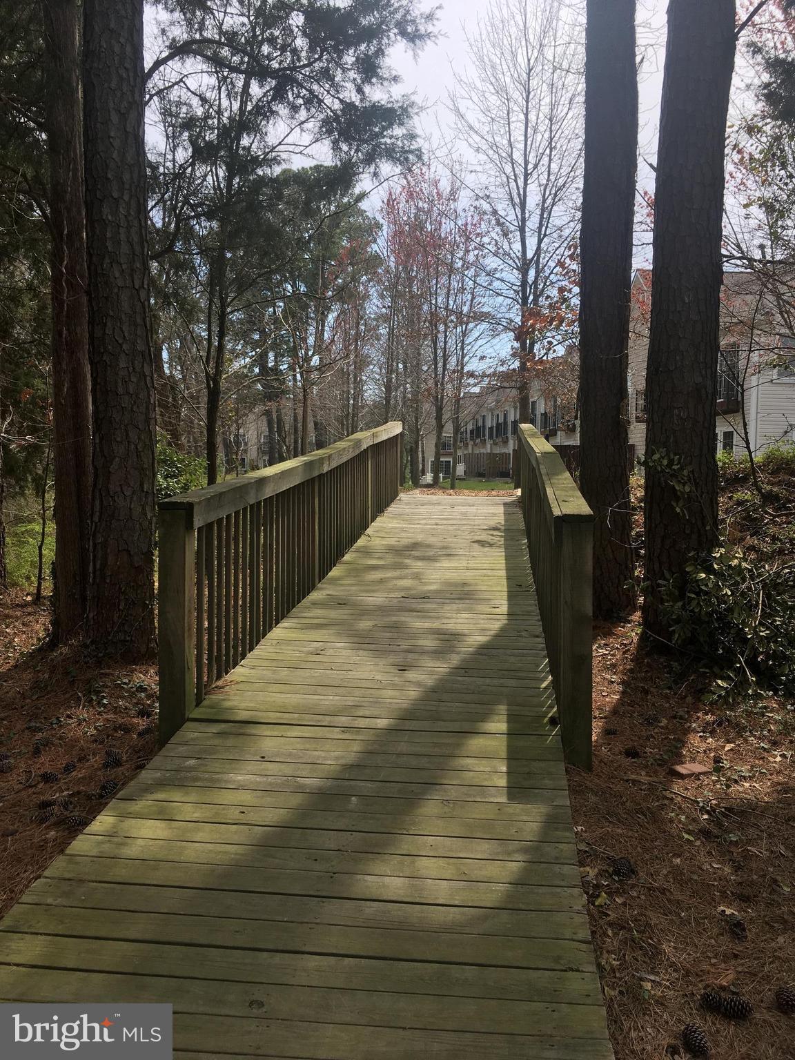14162 Foxhall Road, Unit 4 Dowell, MD 20629 - Photo 19 of 24 a view of outdoor space with trees