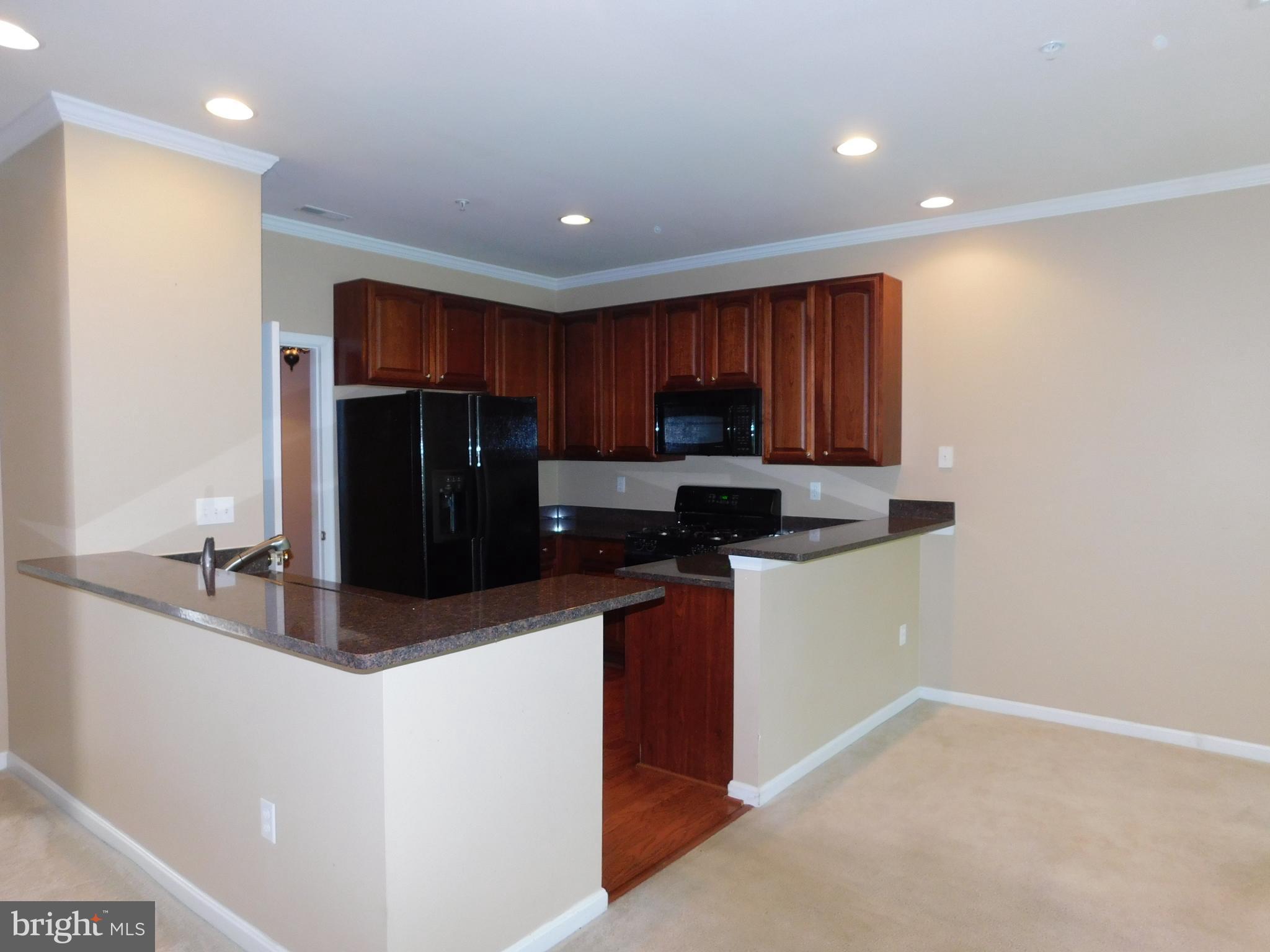 14162 Foxhall Road, Unit 4 Dowell, MD 20629 - Photo 6 of 24 a kitchen with stainless steel appliances granite countertop a refrigerator stove microwave and sink