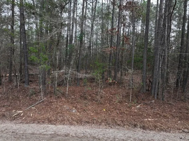 $64,980 | Lot 1 Silva Drive, Hamilton, GA 31811