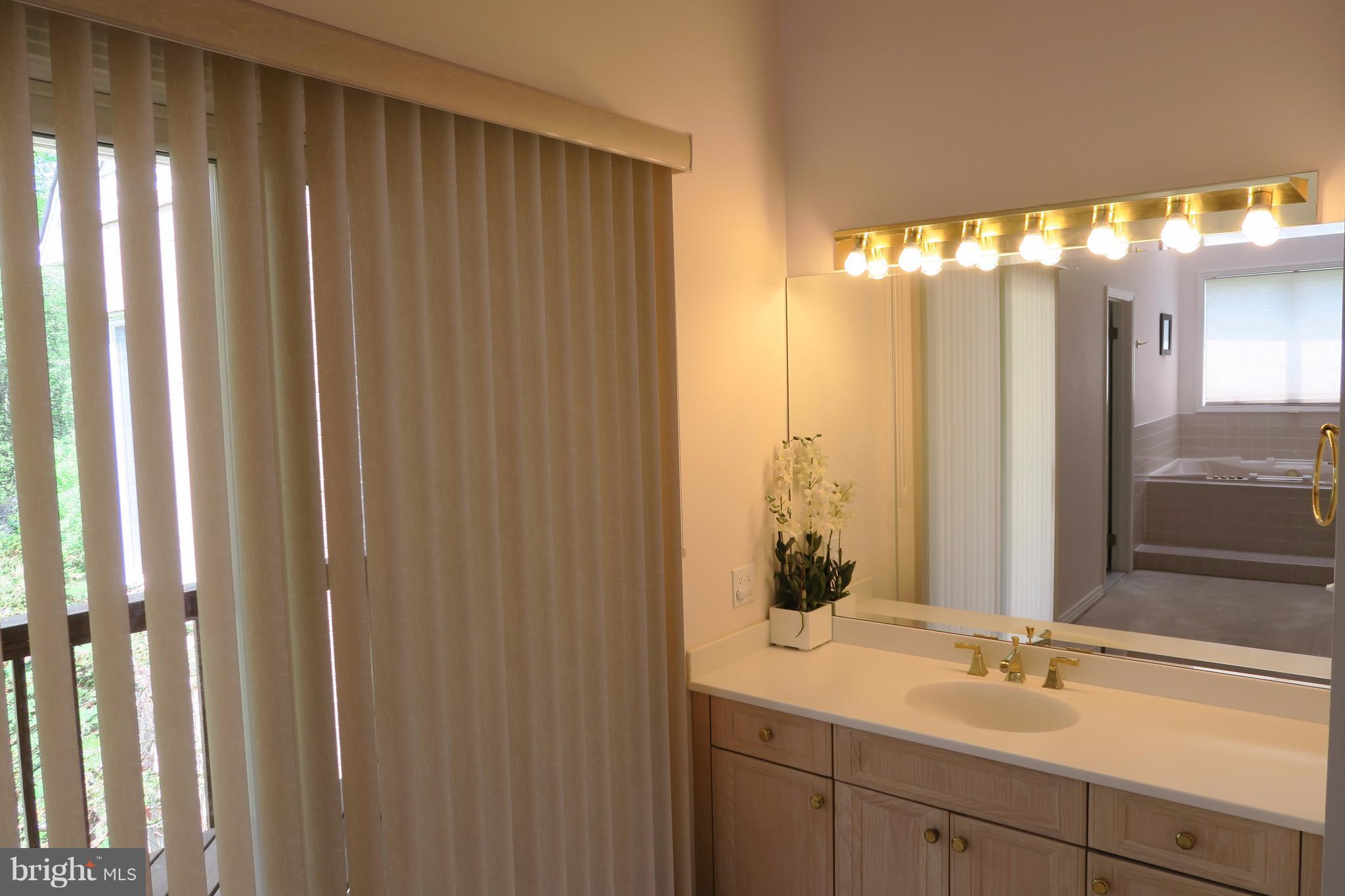 15300 Merrifields Court Silver Spring, MD 20906 - Photo 10 of 30 Bath (Master)
