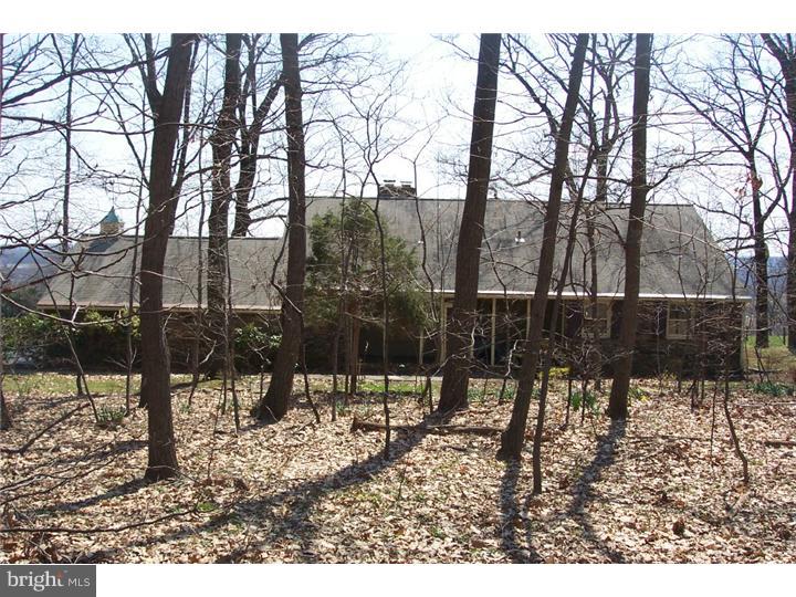 2003 Ridge Road Perkasie, PA 18944 - Photo 2 of 11 Exterior Back