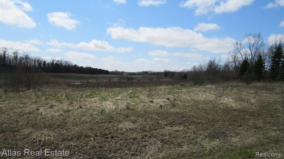 5043 Hidden Ridge Metamora, MI 48455 - Photo 2 of 3