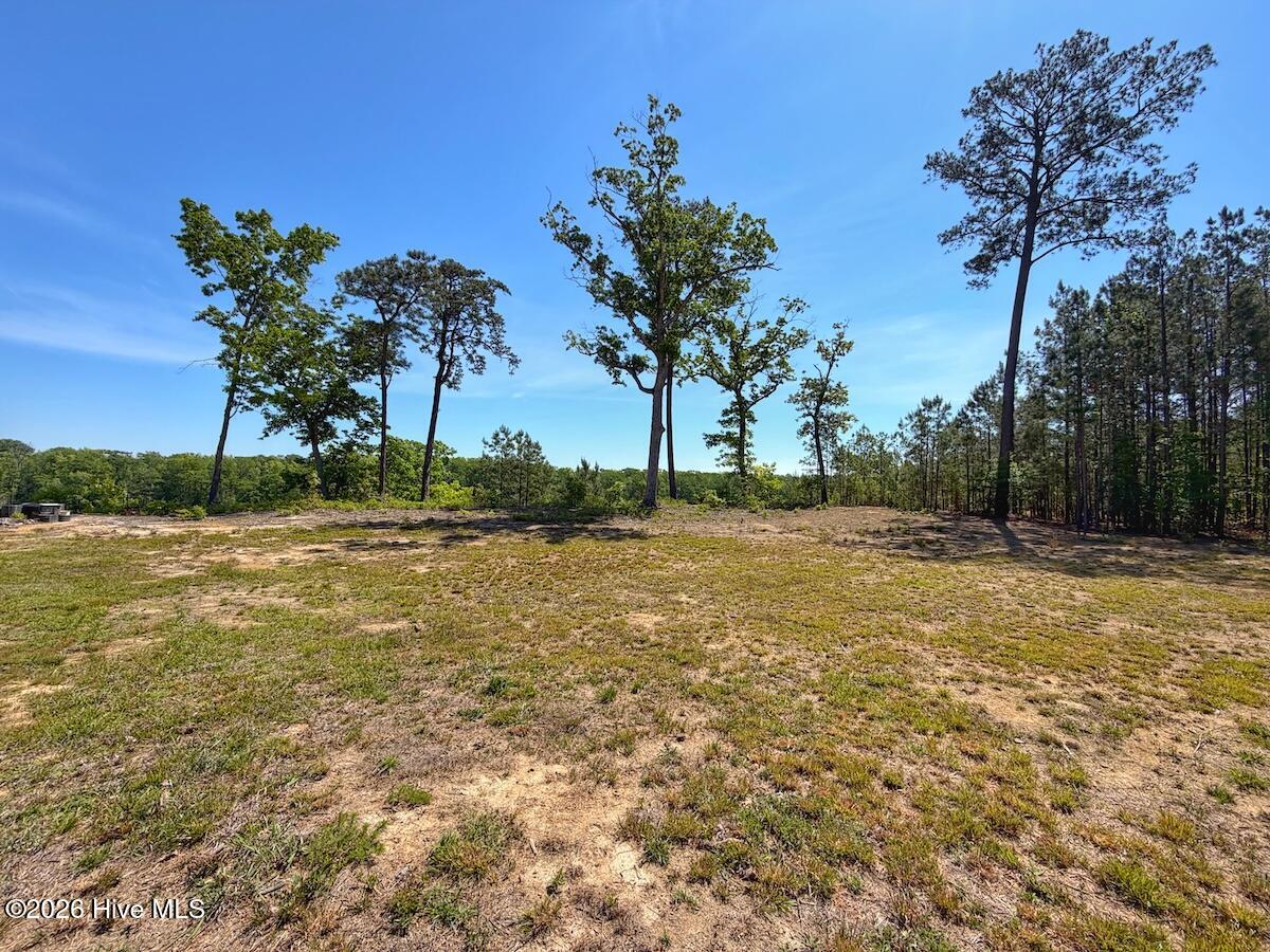 206 Riversedge Drive Winton, NC 27986 - Photo 16 of 43 16