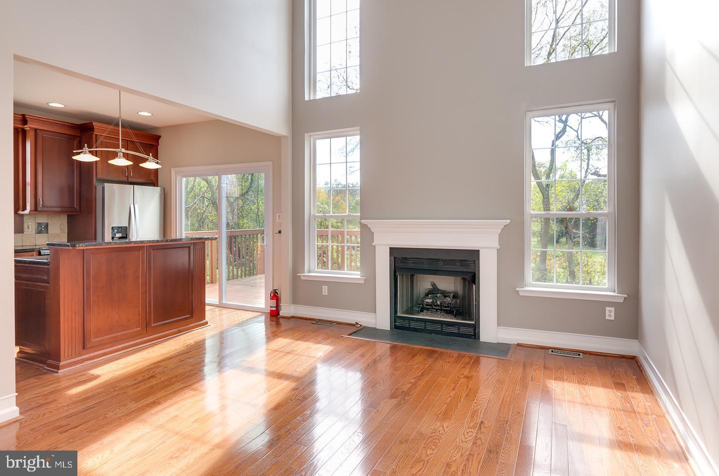 40 Threadleaf Terrace Burlington Township, NJ 08016 - Photo 16 of 34 Family Room gas/fireplace