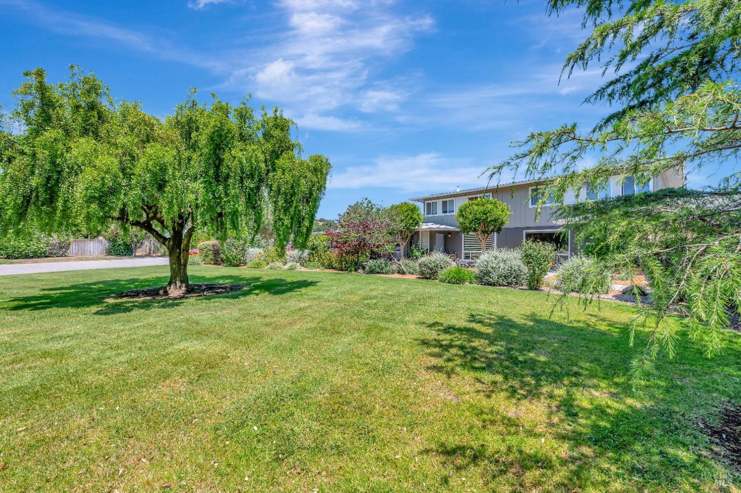 1004 A Los Gamos Road San Rafael, CA 94903 - Photo 1 of 1 Gallery Image 1