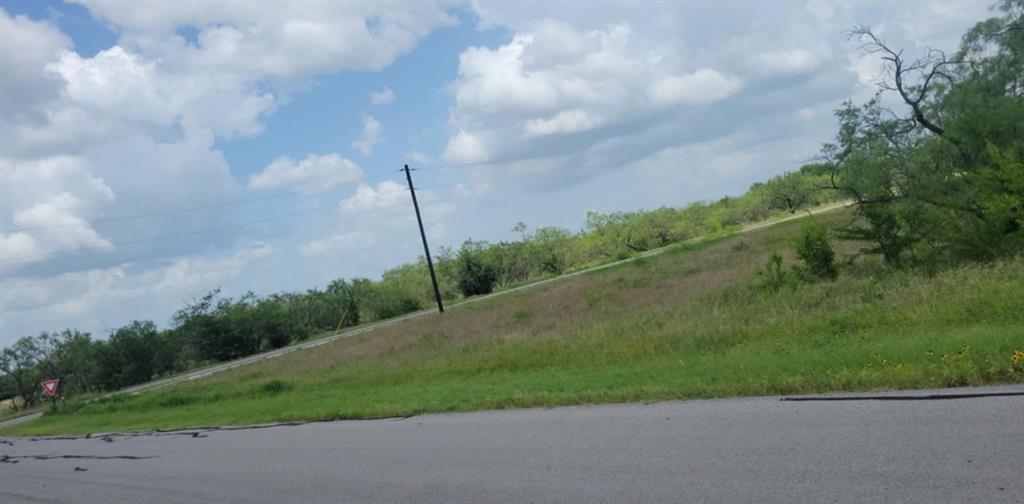 Lot 118 Palmito Rnch Road Corsicana, TX 75110 - Photo 3 of 7 View of asphalt road