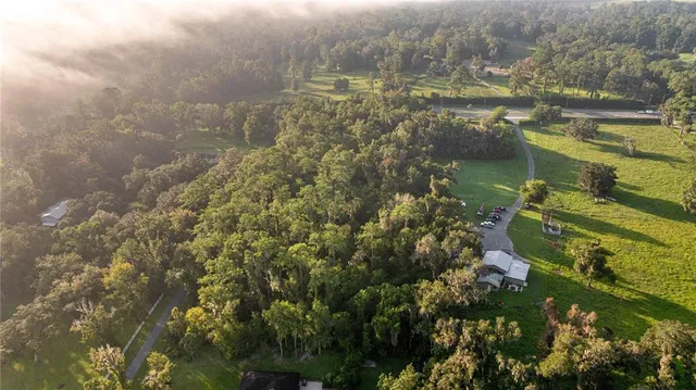 an aerial view of residential houses with outdoor space and trees