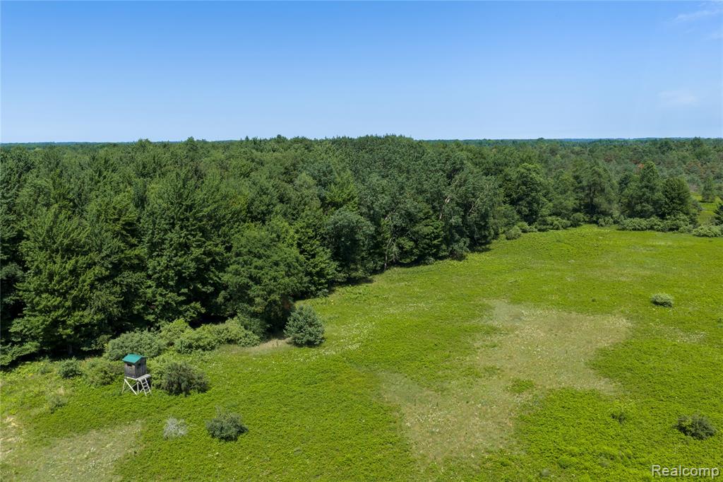 0 Applegate Road Sandusky, MI 48471 - Photo 9 of 15