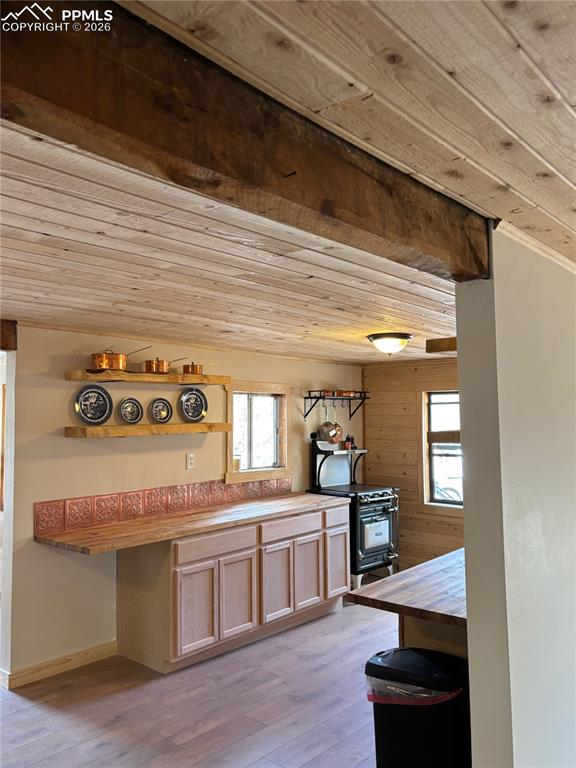 3800 Doe Valley Road Guffey, CO 80820 - Photo 12 of 43 a kitchen with a stove and cabinets
