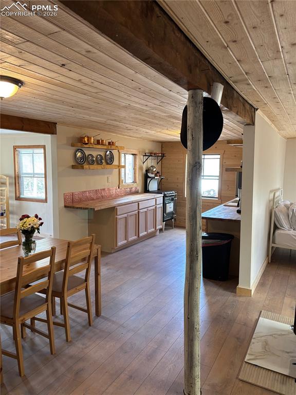 3800 Doe Valley Road Guffey, CO 80820 - Photo 13 of 43 a living room with furniture and a wooden floor