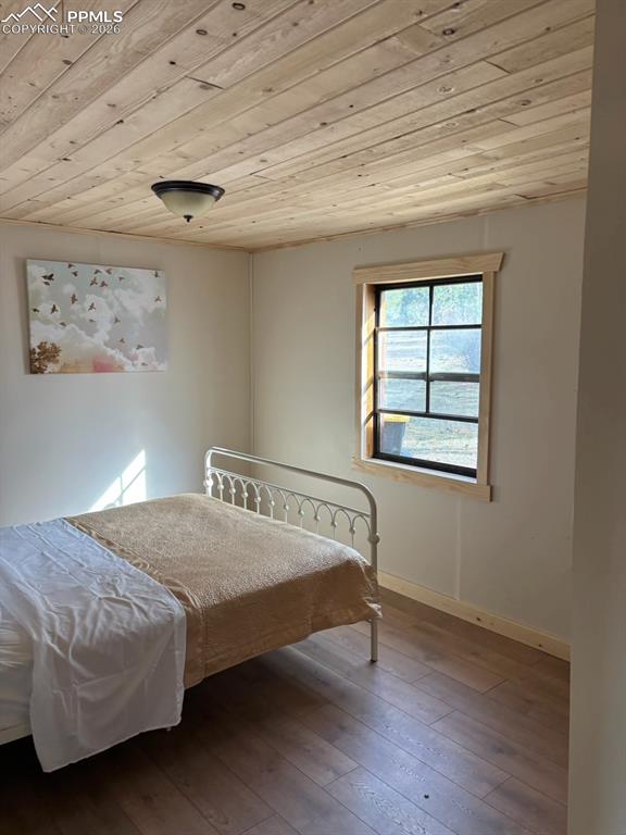 3800 Doe Valley Road Guffey, CO 80820 - Photo 14 of 43 a bedroom with a bed and a window