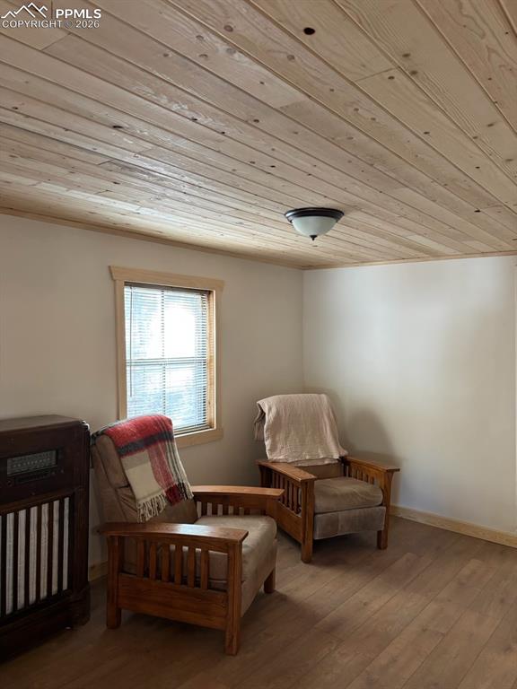 3800 Doe Valley Road Guffey, CO 80820 - Photo 20 of 43 a living room with furniture and a window