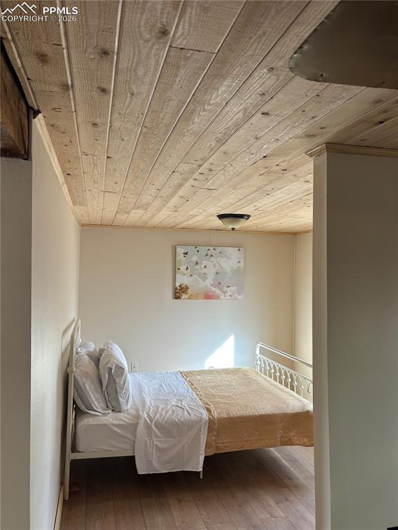 3800 Doe Valley Road Guffey, CO 80820 - Photo 21 of 43 a bedroom with bed and window