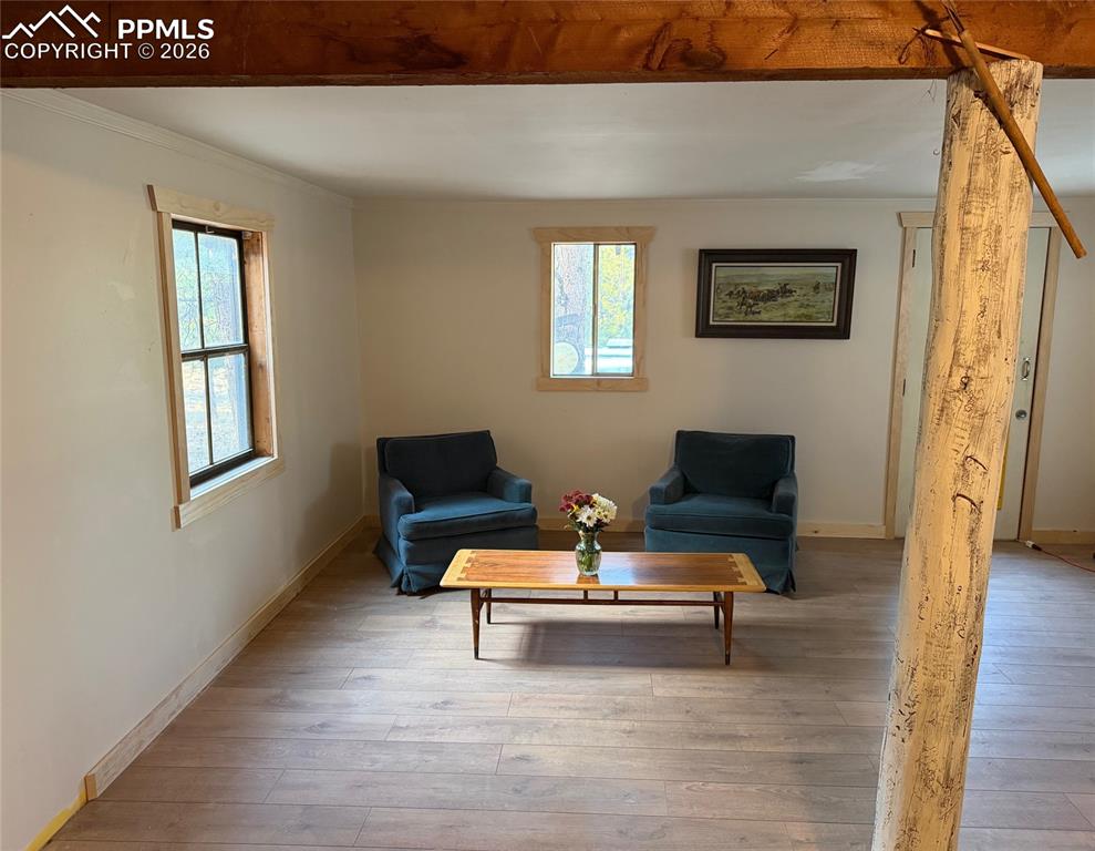 3800 Doe Valley Road Guffey, CO 80820 - Photo 29 of 43 a living room with furniture and a window